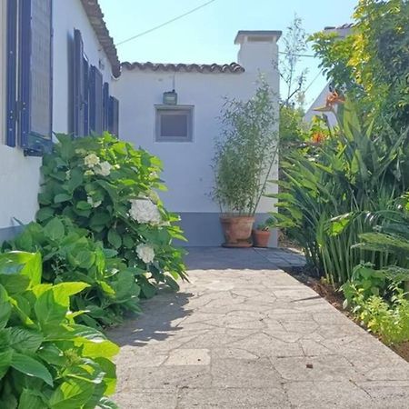 Casa Azores Zen Ribeira Grande Extérieur photo
