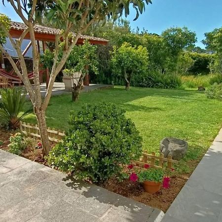 Casa Azores Zen Ribeira Grande Extérieur photo