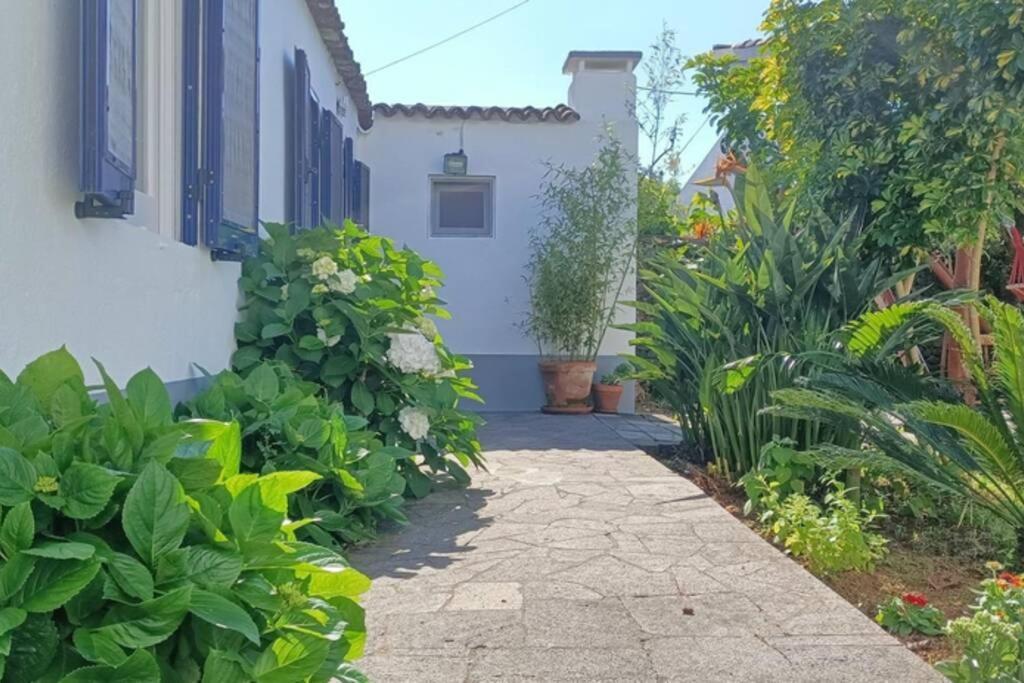 Casa Azores Zen Ribeira Grande Extérieur photo